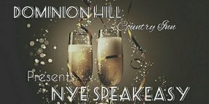 New Years Party Dominion HIll